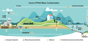 PFAS-Contamination-Cycle