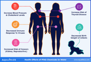 PFAS-Health-Effects-With-Border