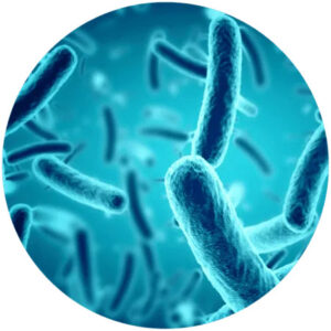 Water Contaminants_Microorganisms
